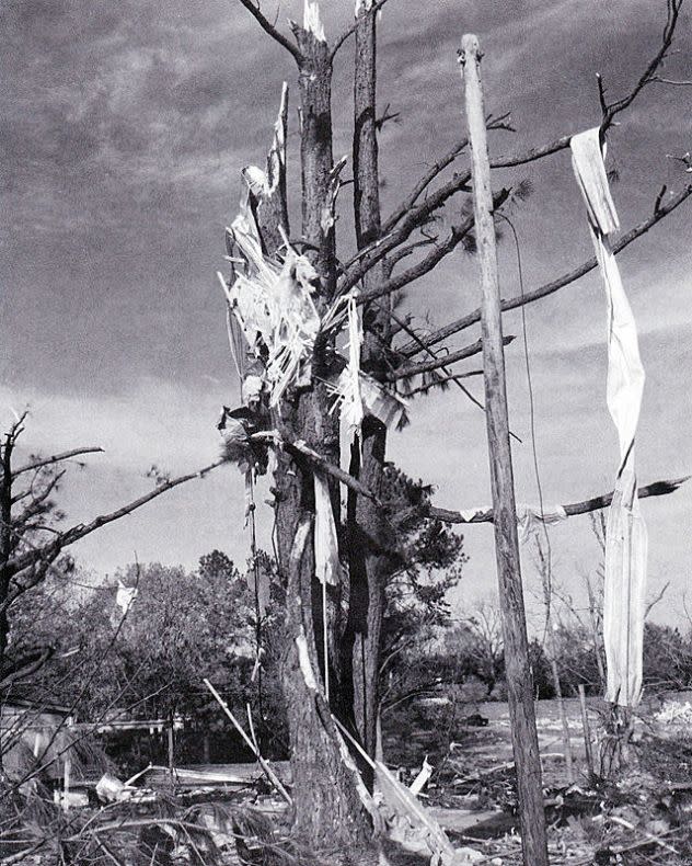 Tornado damage