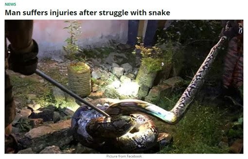 一隻巨大蟒蛇出現在男子家中。（圖／翻攝自Malaysian Talk）