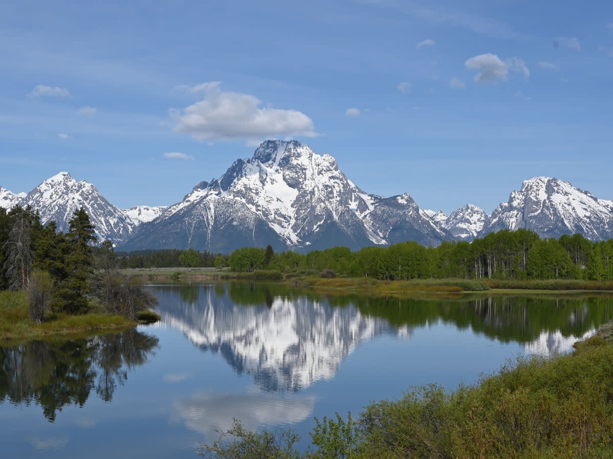 The skier, who was in the Grand Teton National Park, sustained serious injuries  (AFP via Getty)