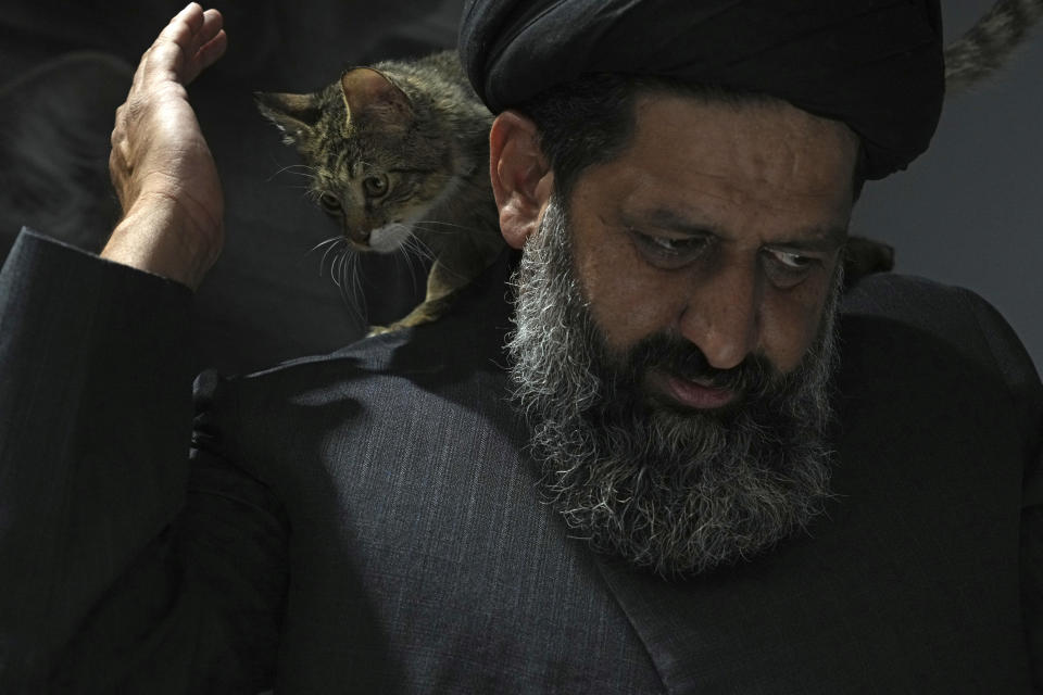 An injured stray cat walks on the shoulder of Iranian cleric Sayed Mahdi Tabatabaei after treatment at a veterinary clinic in Tehran, Iran, Friday, May 19, 2023. It's rare these days for a turbaned cleric in Iran to attract a large following of adoring young fans on Instagram, but Tabatabaei has done it by rescuing street dogs in defiance of a local taboo. (AP Photo/Vahid Salemi)
