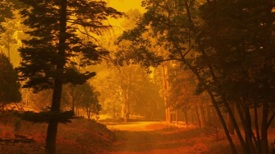 PHOTO: Smoke from the South Fork Fire covers the sun, casting an orange light across the Lincoln National Forest at Cedar Creek, in Ruidoso, N.M., June 17, 2024.      (Kaylee Greenlee Beal/Reuters)