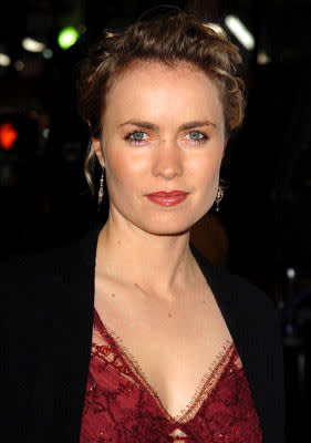 Radha Mitchell at the Hollywood premiere of Warner Bros. Ocean's Twelve