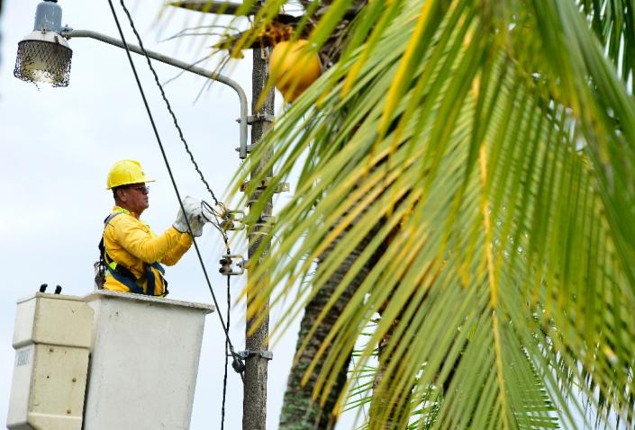 A worker repairs power lines damaged by strong winds before the arrival of Hurricane Otto in Limon, Costa Rica (AFP Photo/Ezequiel Becerra)