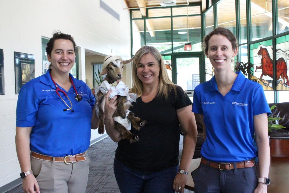 Dr. Daniela Luethy, left, with Daisy Mae and owner Amanda Cohen, and Dr. Dayna Jodzio stand outside UF's Large Animal Hospital following Daisy Mae's recheck appointment on May 5.