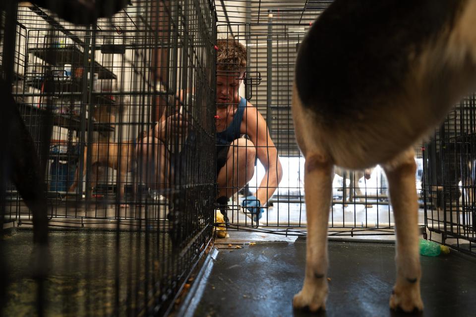 Jeffrey Krummel cleans up after the many dogs up for adoption at the Route 66 Animal Shelter on Friday, July 19, 2024 in Barstow.