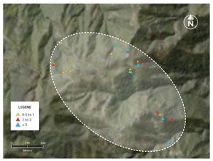 Plan View of the Victory Target Area