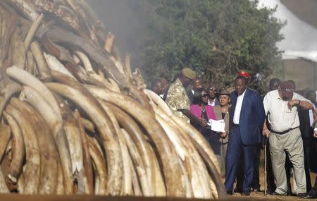 Kenya's President Uhuru Kenyatta (2nd R) looks on as 15 tonnes of ivory confiscated from smugglers and poachers is burnt to mark World Wildlife Day at the Nairobi National Park March 3, 2015. REUTERS/Thomas Mukoya