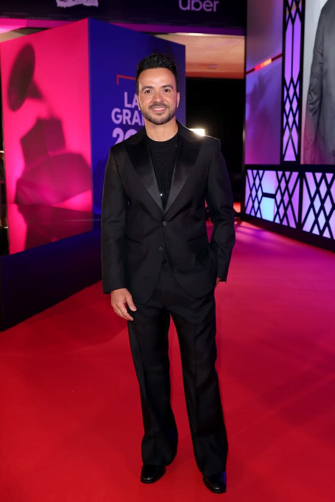 <p>Luis Fonsi</p>