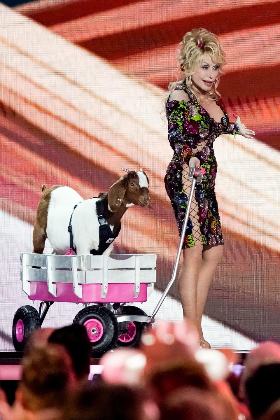 Dolly Parton appears on stage with a goat during the 58th ACM Awards at the Ford Center at The Star in Frisco, Texas, Thursday, May 11, 2023.