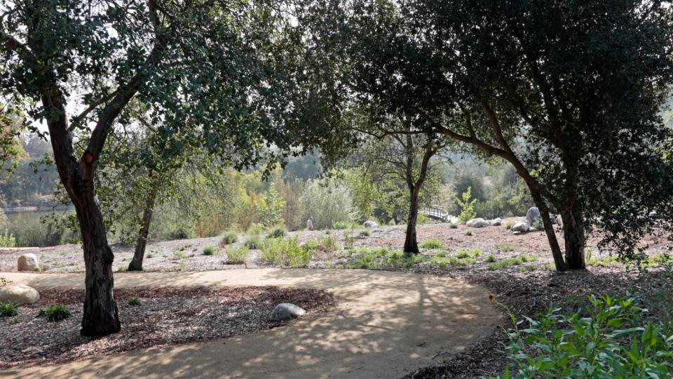 One of three paths that guide visitors through the new oak woodland at Descanso Gardens.