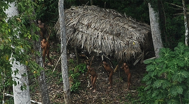 An uncontacted Amazon tribe is photographed from a plane flying overhead. Photo: REUTERS/Lunae Parracho