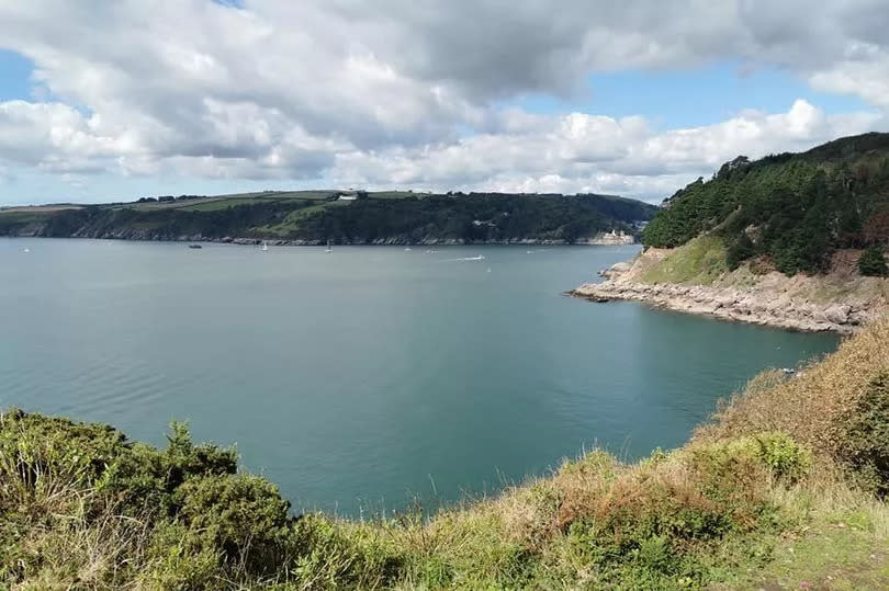 A view from a walk at Froward Point