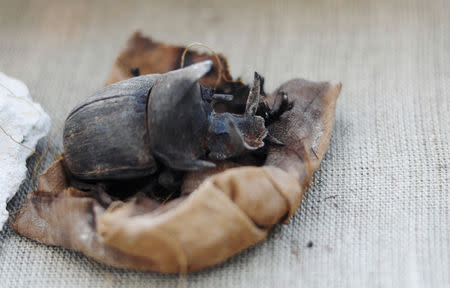 A mummified scarab inside the tomb of Khufu-Imhat on display, at the Saqqara area near its necropolis, in Giza, Egypt November 10, 2018. REUTERS/Mohamed Abd El Ghany