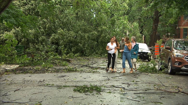 Cleanup underway in NDG after intense storm inflicts significant damage