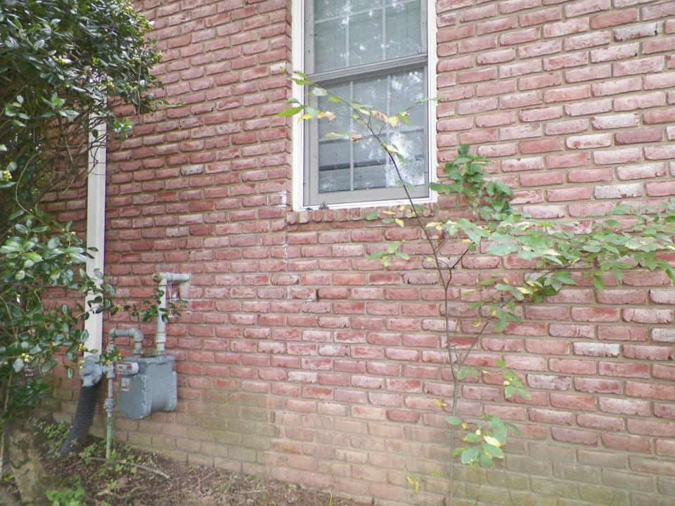 A completely normal-looking brick wall. Photo: Facebook/Bartlett Bee Whisperer