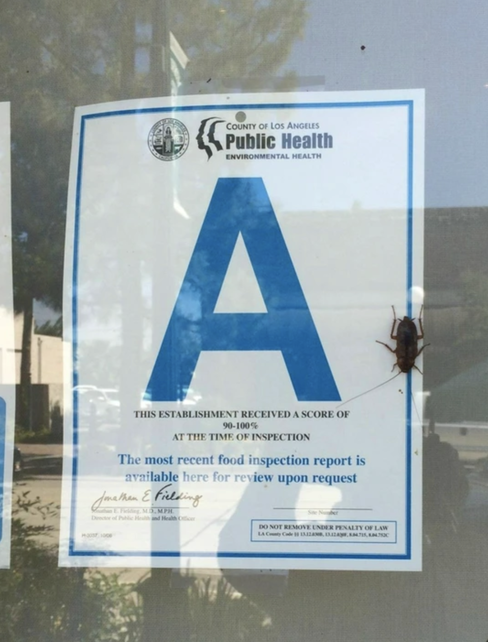 Los Angeles County health inspection grade 'A' posted on a window with a cockroach on it