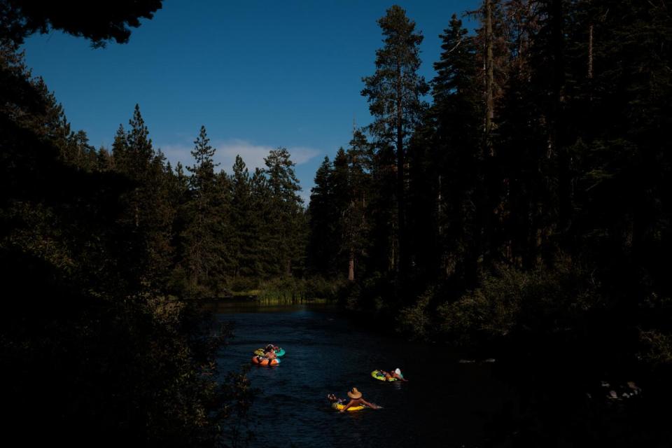 People tube on a tree-lined river.