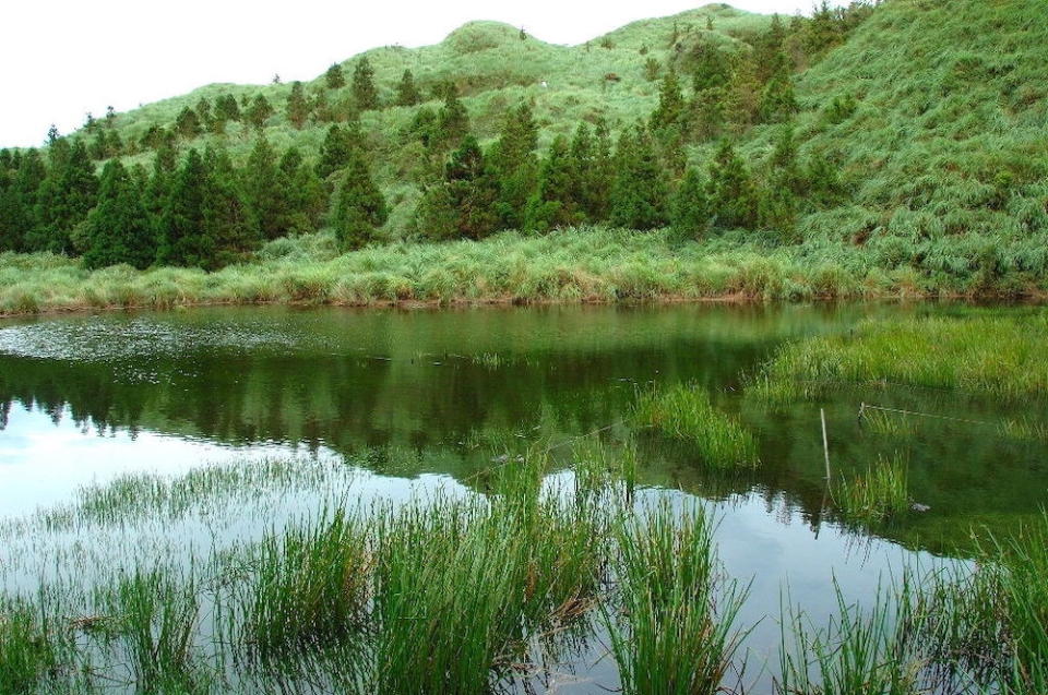 夢幻湖雲霧縹緲，景緻如夢似幻(Photo via Wikimedia, by Bmwman, License: CC BY-SA 3.0，圖片來源：https://zh.wikipedia.org/wiki/夢幻湖_(臺北市)#/media/File:Dream_lake1.jpg)