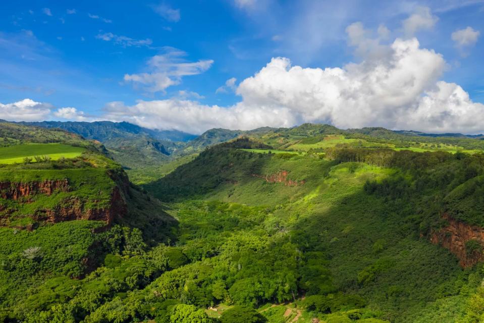 <p>Steven Spielberg filmed some of the most well-known movie scenes in Jurassic Park on the island of Kauai in Hawaii, featuring Manawaiopuna Falls in Hanapepe Valley. While you won’t see any dinosaurs, tourists can feel like they’re a part of the movie on a helicopter tour of the island.</p>