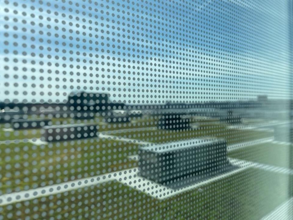 Windows at the Javits Center are now covered in a dotted pattern known as ‘fritting’ which has reduced bird collisions by 90 per cent (Louise Boyle/The Independent)