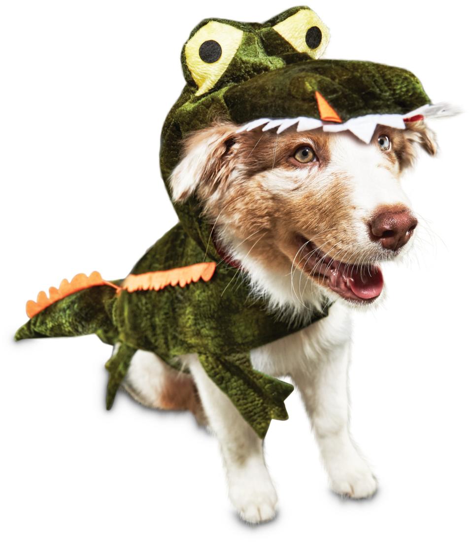 Bootique Later Gator Dog Costume