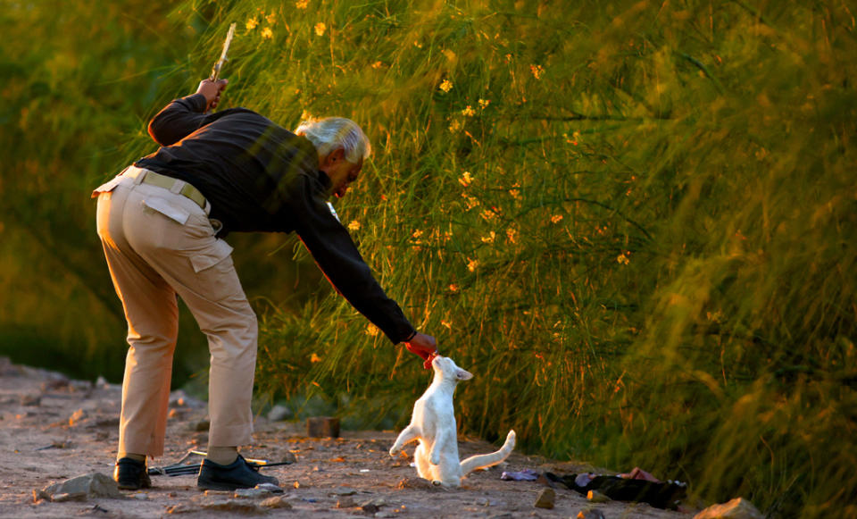 A man and a cat.