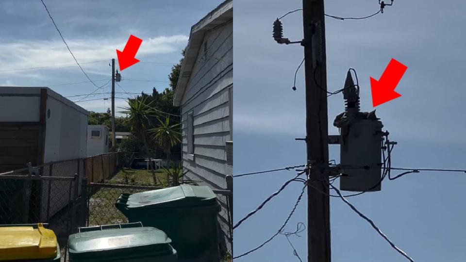 <div>A cat was rescued from atop a utility pole after two days. (Photo: Cocoa Fire Rescue)</div>