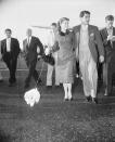 <p>Pictured at the beginning of their romance, Debbie Reynolds arrives at the airport to meet crooner, Eddie Fisher, with her latest token of affection: their white Poodle puppy named Fanny Fisher. The couple got married later that year. </p>