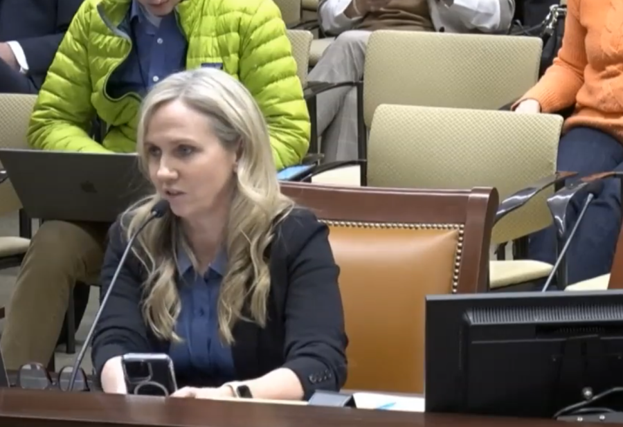 Rep. Katy Hall (R-South Odgen) speaks to the House Government Operations Committee on HB 290 on Feb. 13, 2024. 