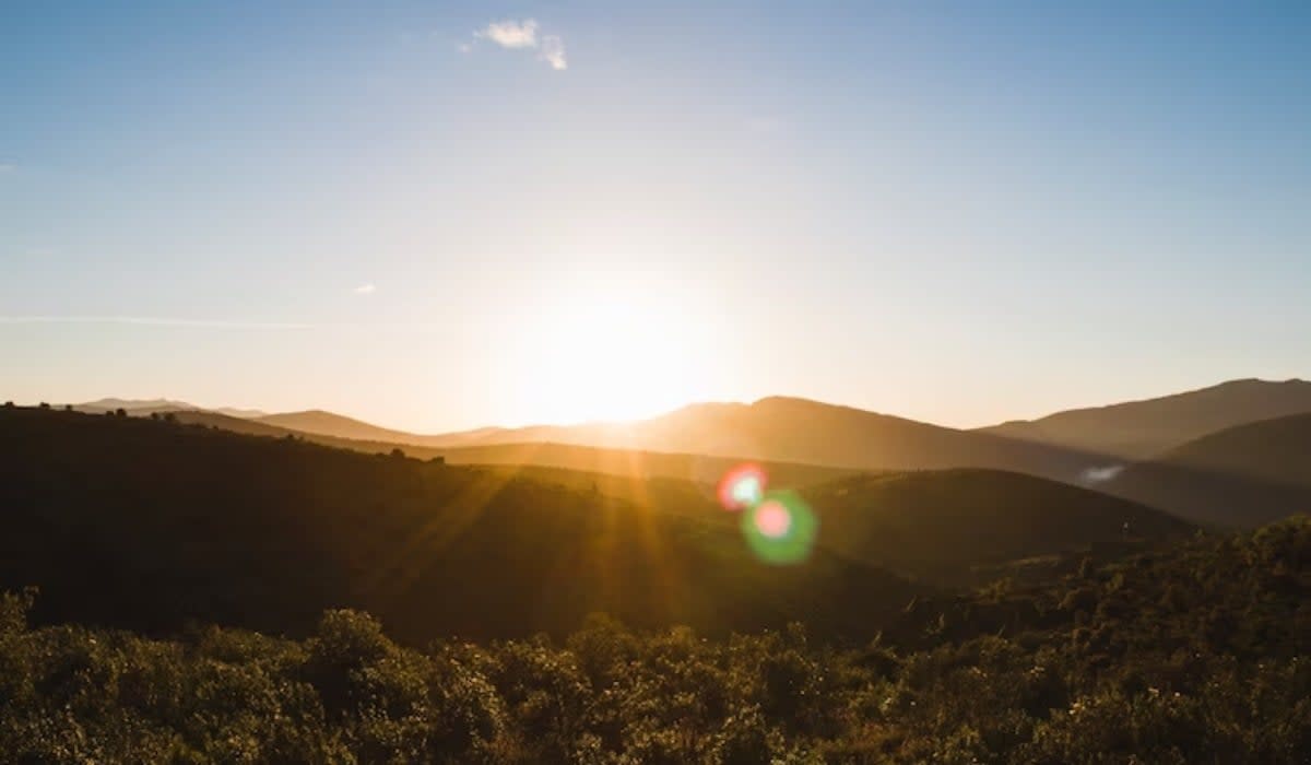 Las altas temperaturas que genera el Fenómenos de El Niño podrían causar estas enfermedades. Foto: tomada de @ freepik