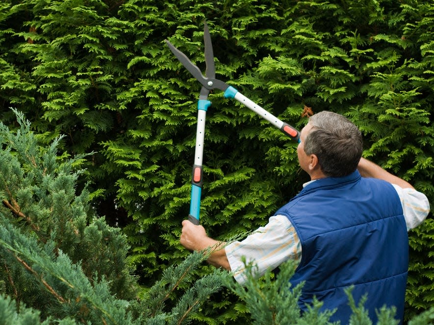 gardening trimming cutting