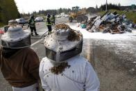 Beekeepers wait to start clearing out the scene of semi-trailer truck that overturned with a cargo of bees on a highway in Lynnwood, Washington April 17, 2015. A truck carrying millions of honey bees overturned on a freeway north of Seattle on Friday, creating a massive traffic jam as the swarming insects stung firefighters, officials said. (REUTERS/Ian Terry)