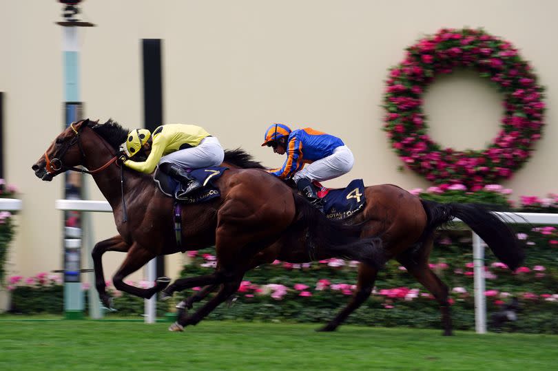 Rosallion, ridden by Sean Levey (front, yellow and black), on the way to winning the St James's Palace Stakes on day one of Royal Ascot 2024 from Henry Longfellow at Ascot Racecourse on Tuesday, June 18 2024