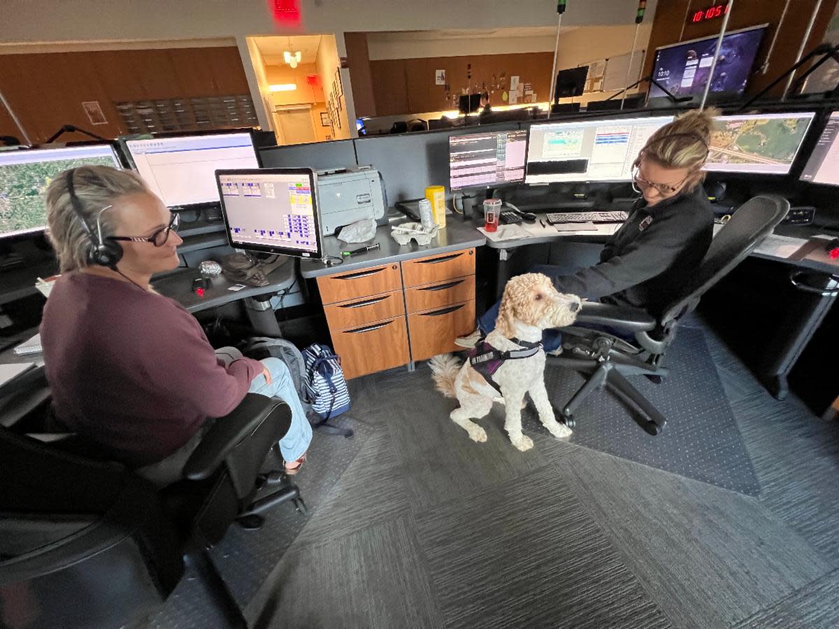 Hope, a one-year-old Goldendoodle, provides eotional support to dispatchers inside the Calhoun County Consolidated Dispatch Center.