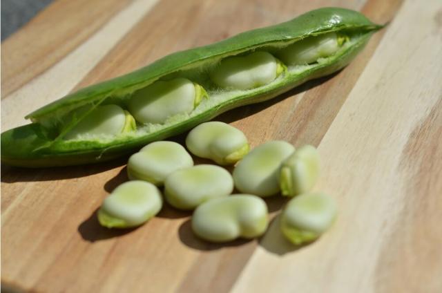 Thermal treatment of faba bean for flavour improvement 