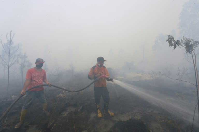 Indonesian firemen attempt to put out a fire in Kampar, Riau province, on September 13, 2015