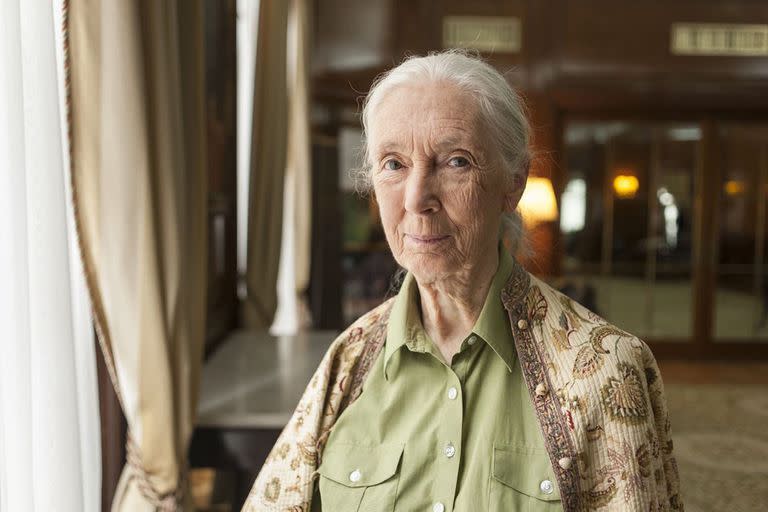 Jane Goodall