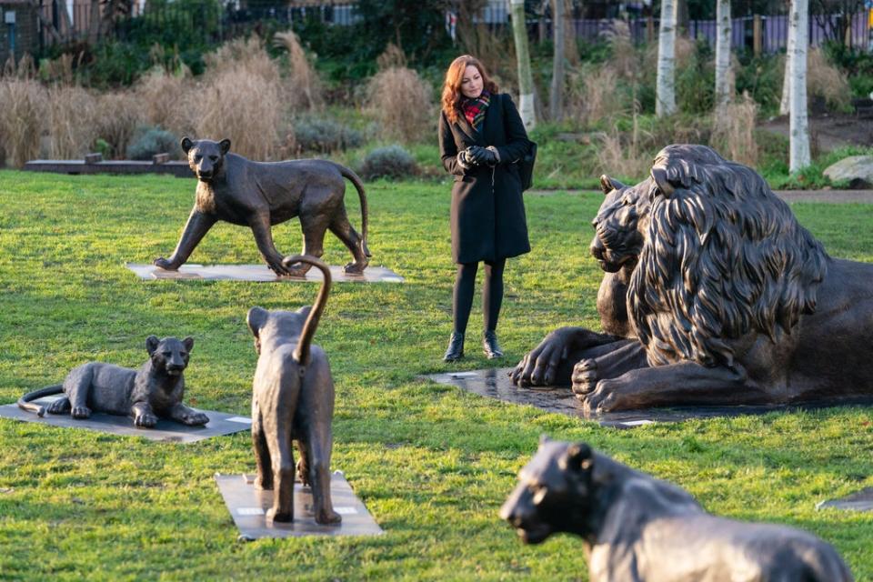 A visitor views lion sculptures at the Born Free Forever exhibition (Dominic Lipinski/PA) (PA Wire)