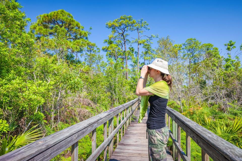 a person standing on a bridge