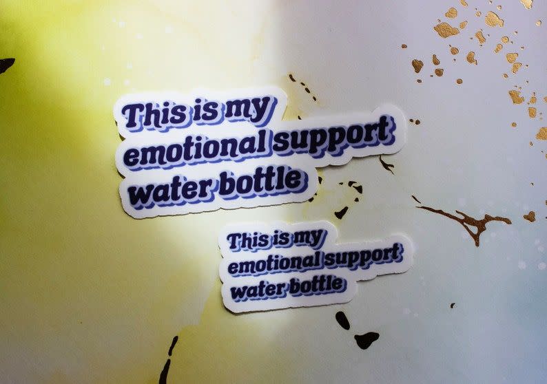 27) "This is My Emotional Support Water Bottle" Sticker