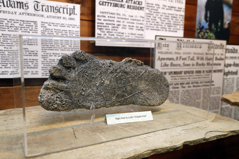 This Aug. 8, 2019, photo shows a plaster cast of footprints believed to be made by a Bigfoot on display at Expedition: Bigfoot! The Sasquatch Museum in Cherry Log, Ga. The owner of this intriguing piece of Americana at the southern edge of the Appalachians is David Bakara, a longtime member of the Bigfoot Field Researchers Organization who served in the Navy, drove long-haul trucks and tended bar before opening the museum in early 2016 with his wife, Malinda. (AP Photo/John Bazemore)