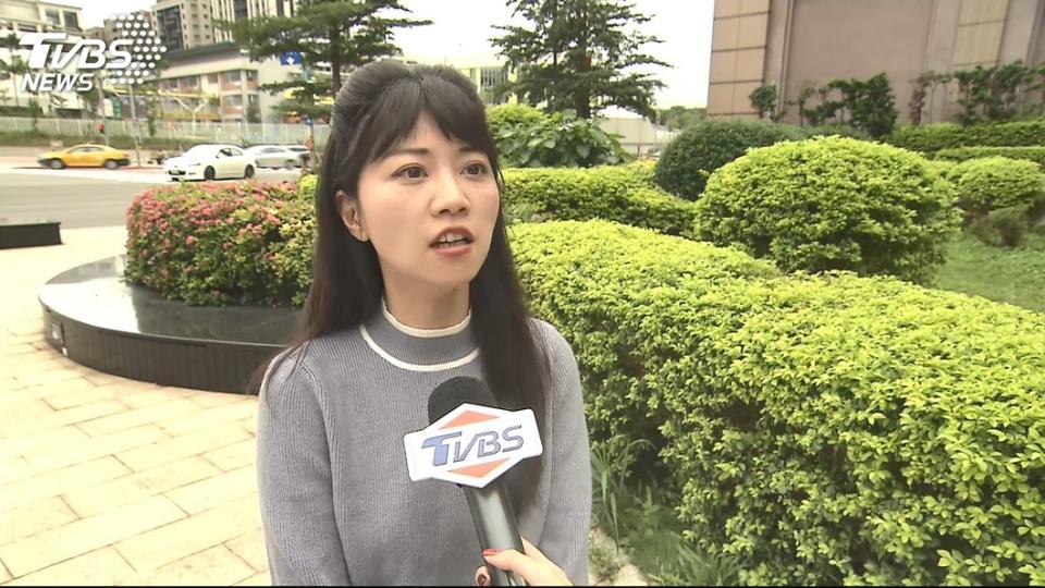 台北市議員高嘉瑜。圖／TVBS資料畫面