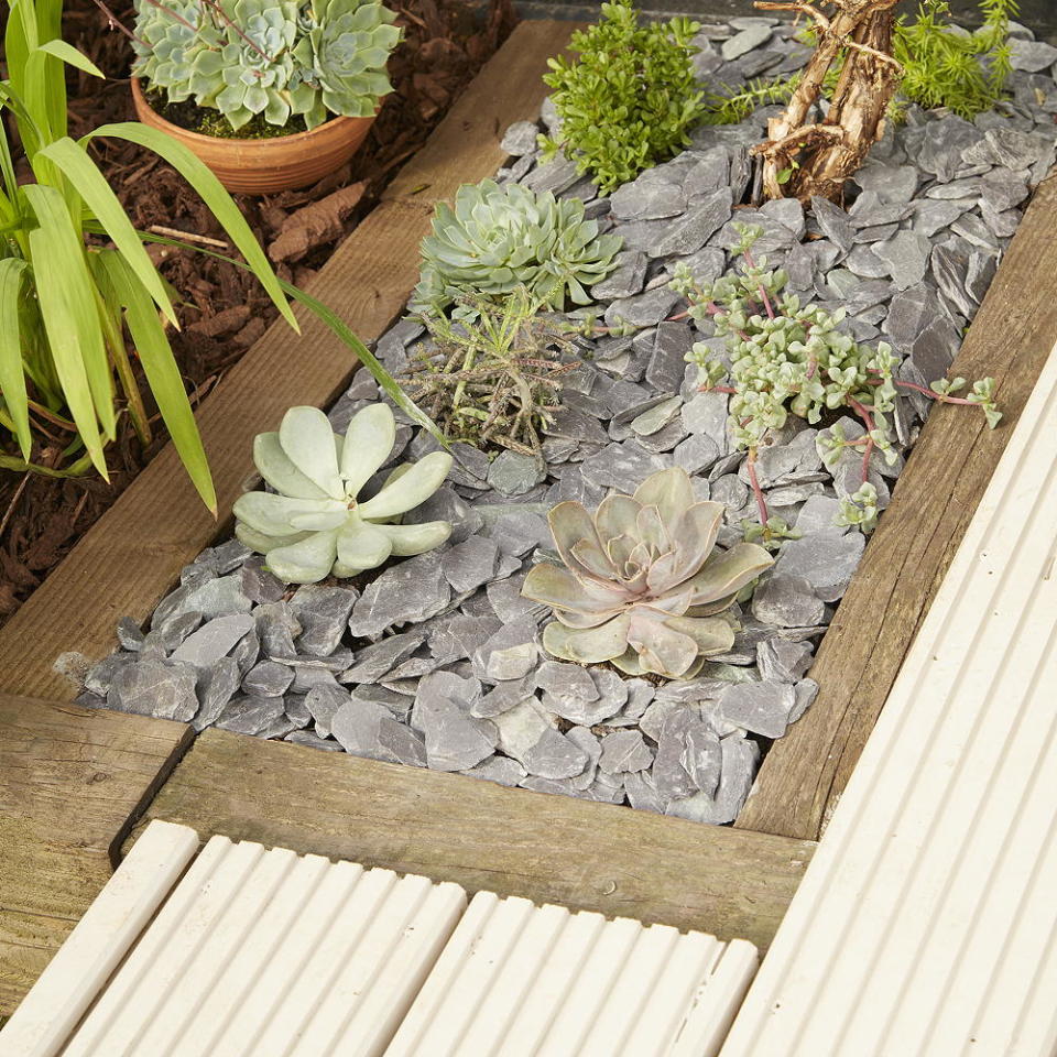 Build-in an easy care succulent garden