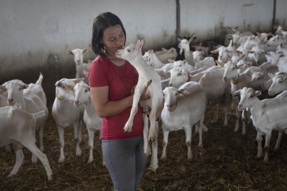 A farm worker holds a goat on a private farm in Zhurivka, Kyiv region, Ukraine, Thursday, Aug. 10, 2023. While countries worldwide press for a restoration of the grain deal and fighting intensifies in the Black Sea, Ukraine's farmers are left wondering how they will stay in business and provide the food that is critical to people in developing nations struggling with hunger. (AP Photo/Efrem Lukatsky)