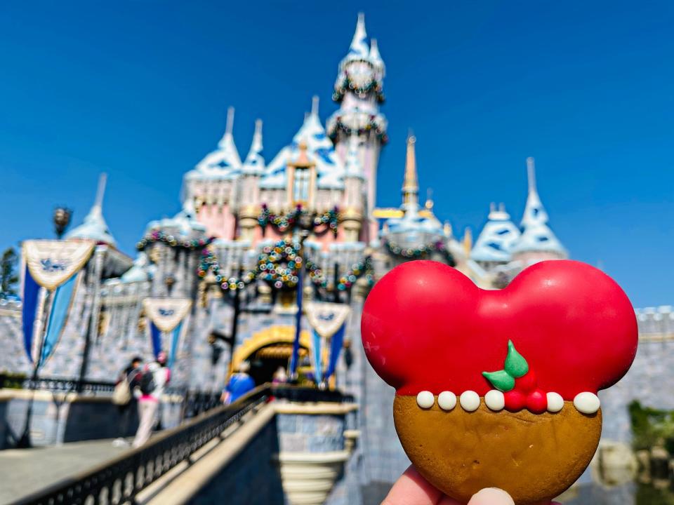hand holding gingerbread cooking in front of sleeping beauty castle at disneyland