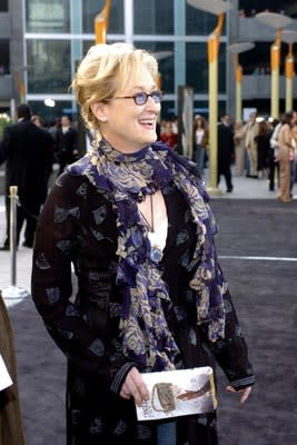 Meryl Streep at the Hollywood premiere of Paramount Pictures' Lemony Snicket's A Series of Unfortunate Events