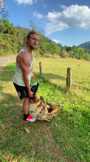 An Australian Man Is Going Viral For Saving A Sheep From A Barbed