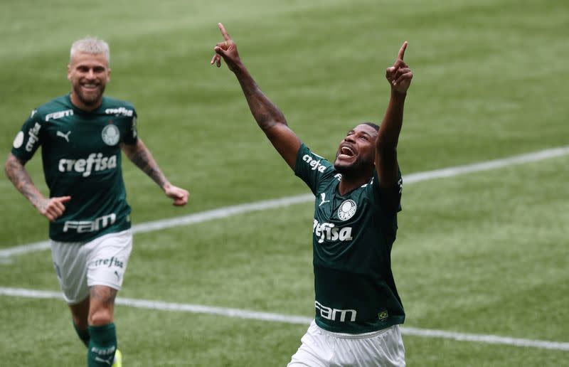 Brasileiro Championship - Palmeiras v Botafogo