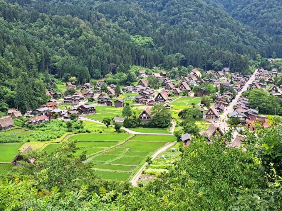 日本旅遊｜白川鄉合掌村+飛驒高山老街一日遊買1送1！$200起從名古屋出發、欣賞合掌屋與向日葵同框畫面