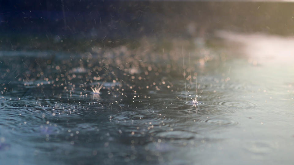 Raindrops creating ripples on a wet surface with soft, blurred background; no people or text